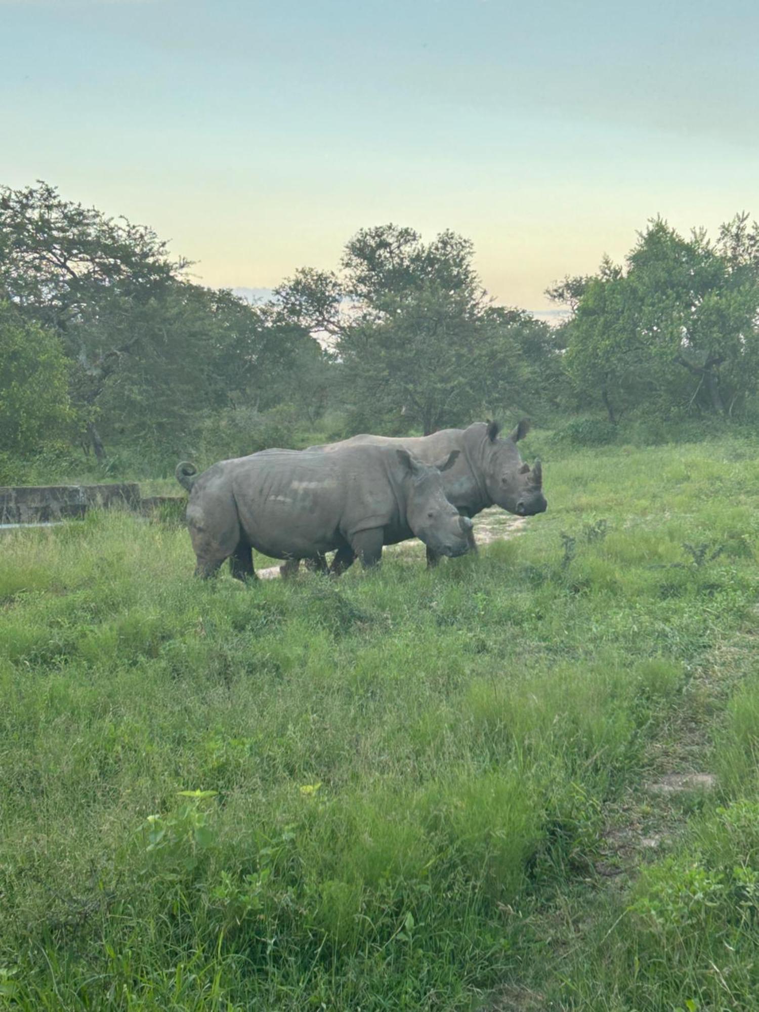Am Lodge - Hoedspruit Bagian luar foto